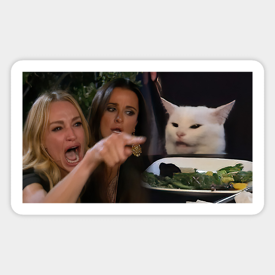 Woman Yelling at a Cat - Meme - Sticker