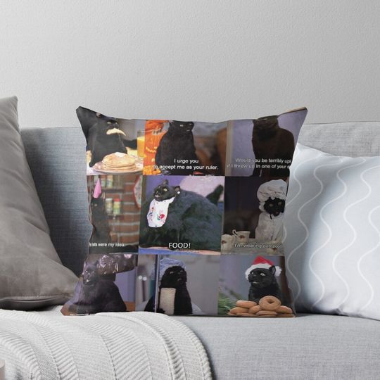 Musings of Salem Pillow