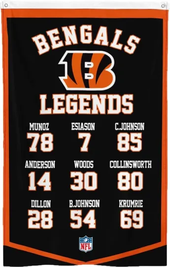 Cincinnati Football 3x5ft Hall of Fame Super Bowl Flag football Banner