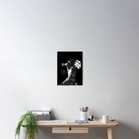 ChrisBrown Breezy Roses Retro Music Tour 2025 Poster