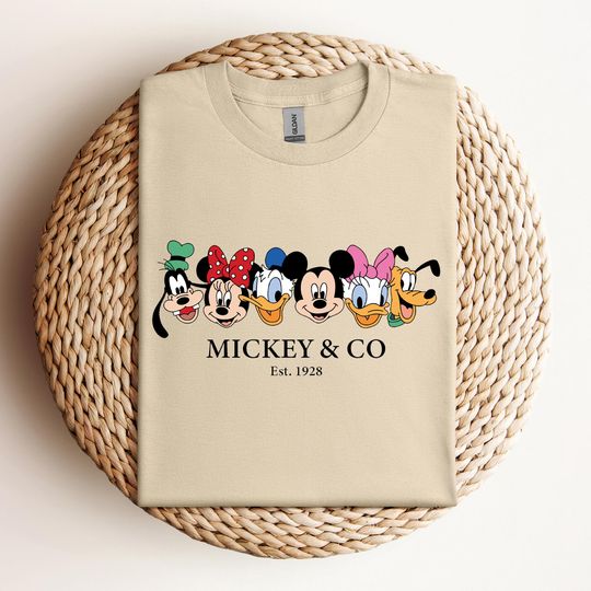 CMickey And Co T-Shirt, Disney Family Vacation Shirt, Mickey And Friends Shirt, Disney Shirt