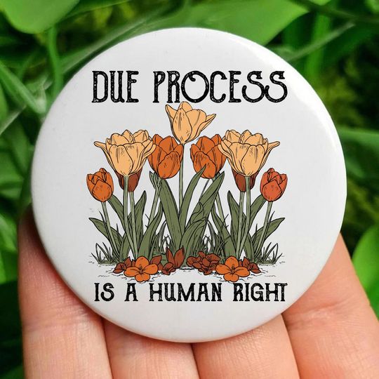 Discover Due Process is a Human Right Pin Button, Liberal Political Statement, Free Speech Pin Button, Civil Rights Activism, Social Justice