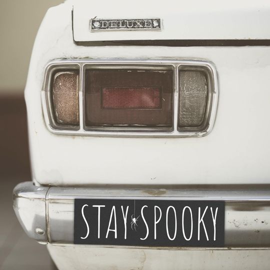 Stay Spooky Spider Car Magnet Bumper Sticker