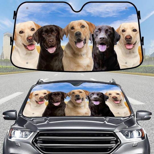 Discover Labrador Retriever Car Sunshade, Funny Dog Windshield Cover, Pet Lover Lab Car Accessory, Halloween Gift for Dog Lover, Dog Lover Gift