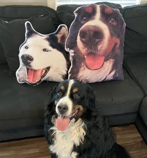 Custom Dog Photo Shaped Throw Pillow Plush Pet Cat Personalized Picture Memorial