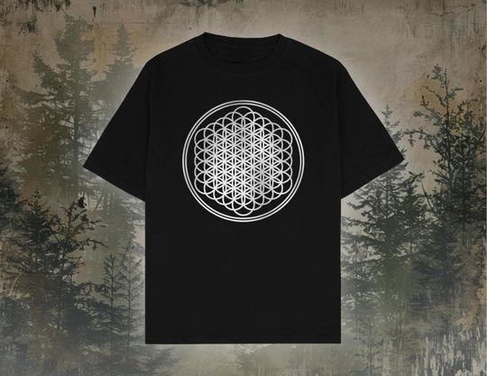 Bring Me The Horizon T-Shirt, BMTH Sempiternal Album Lyrics Merch