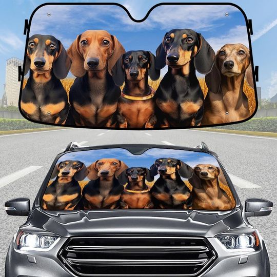 Discover Funny Dachshund Car Sunshade, Sausage Dog Windshield Cover, Wiener Dog Auto Sun Shade, Cute Dog Car Accessory, Dog Lover Shade