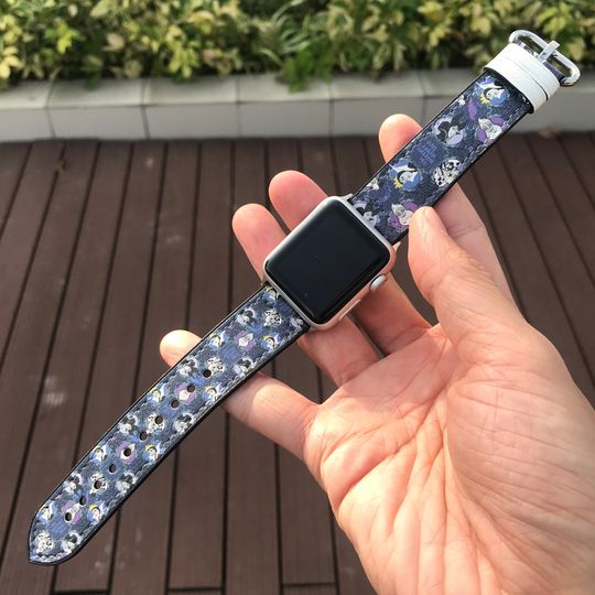 Discover Theme Park Apple Watch Band