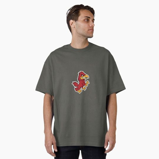 Discover Gamecock  Oversized T-Shirt