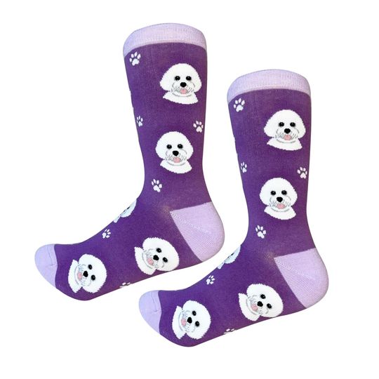 Bichon Frise Dog Socks, Gift Ideas for Pet Lovers
