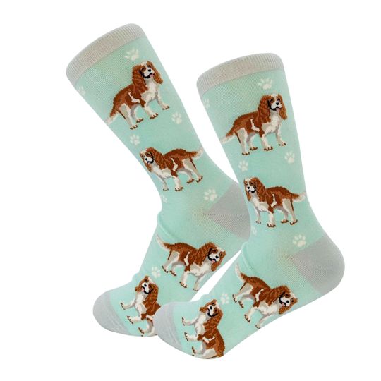 Discover Cavalier King Charles Dog Socks, Gift Ideas for Pet Lover