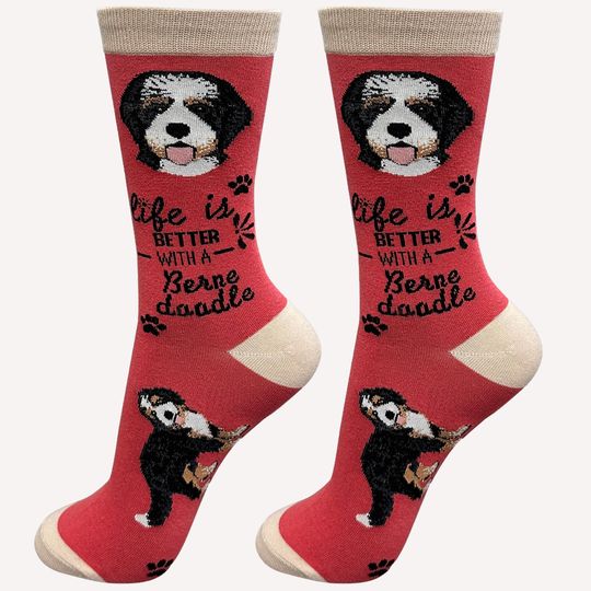 Discover Bernadoodle Dog Life is Better Socks, Gift Ideas for Pet Lover