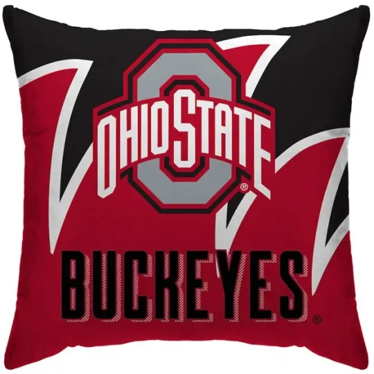 Discover Ohio State Buckeyes Splash Pillow
