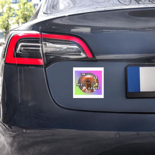 Discover I'm At My Limit - Funny Car Magnet