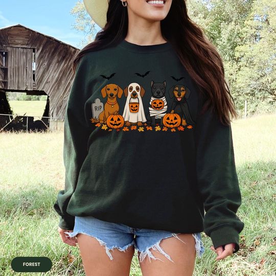 Dachshund Halloween Sweatshirt, Cute Wiener Dog Fall Shirt