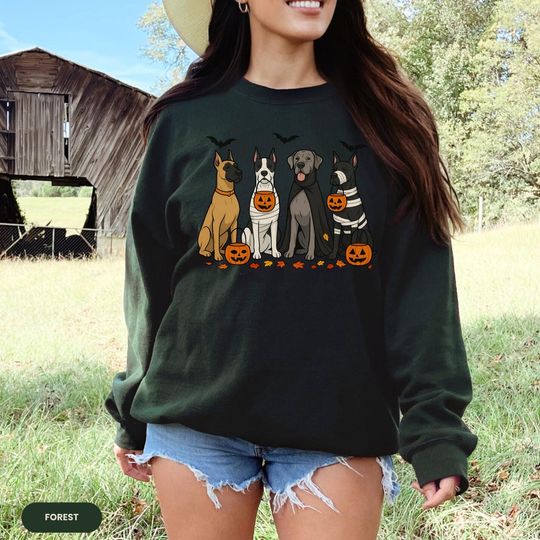 Discover Halloween Dog Shirt, Great Dane Halloween Sweatshirt, Cute Pumpkin Dog Costume