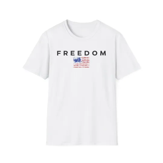 Discover Freedom Charlie Kirk USA Flag T-Shirt