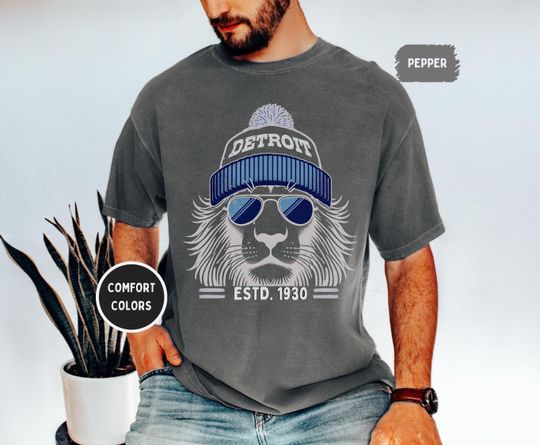Discover Detroit Football T-shirt, Detroit Tee, Game Day Shirt, Detroit Sports Fan Gift