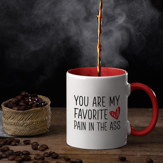 Discover You are My Favorite Pain in the Ass Funny Coffee Mug,Gift for Partner, Spouse, Best Friend, Funny Gift for Spouse, Kids,Valentines Day Gift