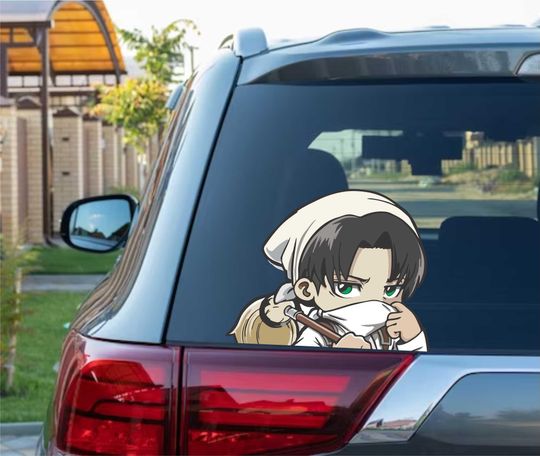 Discover Cleaning Levi Fighter Vinyl Wall Decal for Home Decor