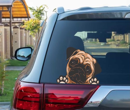 Discover Cute Pug Peeking Peek Peekabo Peekers Bumper Window Vinyl Decal Cartoon Dog Puppy Stickers