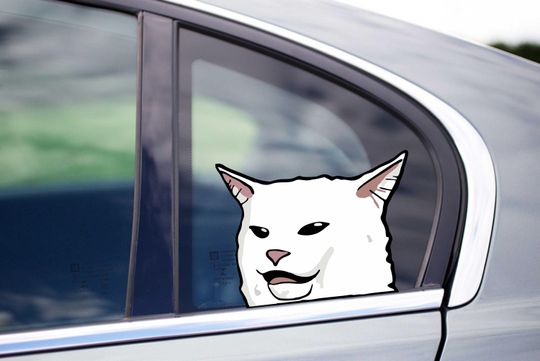 Angry Cat Peeking Peek Peekabo Window Vinyl Decal Funny Stickers Meme LOL Kitty Cat