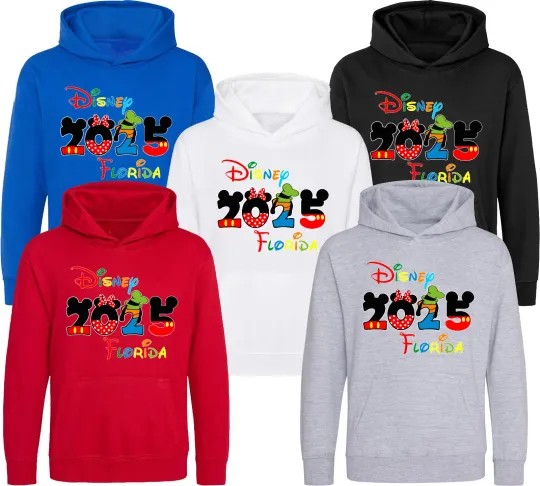 Disney 2025 Florida Hoodie, Disneyworld Florida Pullover, Unisex Disney World Top