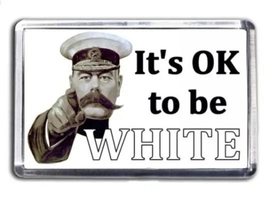 Discover It's OK To Be White Fridge Magnet