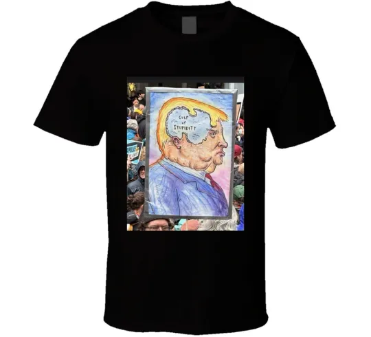 Discover Gulf Of Mexico, Gulf Of Stupidity, Gulf Of America, Funny T Shirt