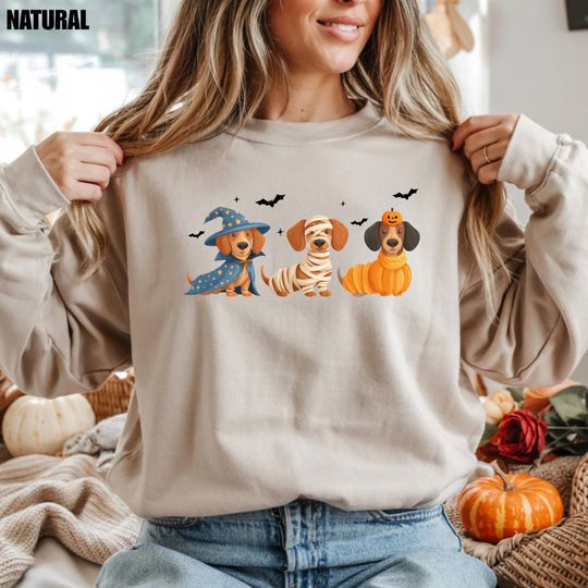 Dachshund Halloween Sweatshirt, Funny Wiener Dog Sweatshirt For Women, Dog Lover Gift