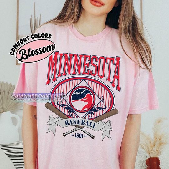 Discover Minnesota Baseball Shirt, Vintage Sports T-Shirt, Retro Baseball Fan Gift