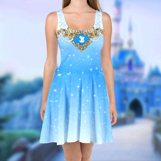 Discover Cinde Princess Women's Skater Dress