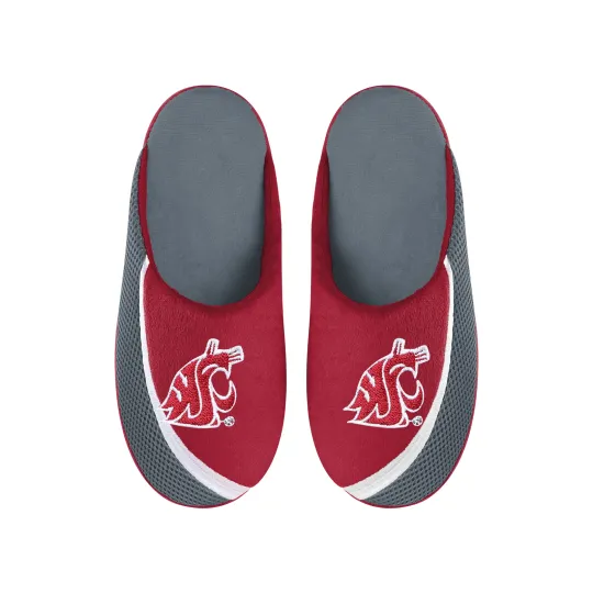 Discover Washington State Cougars 2022 Big Logo Color Edge Slippers, Gift for Fan