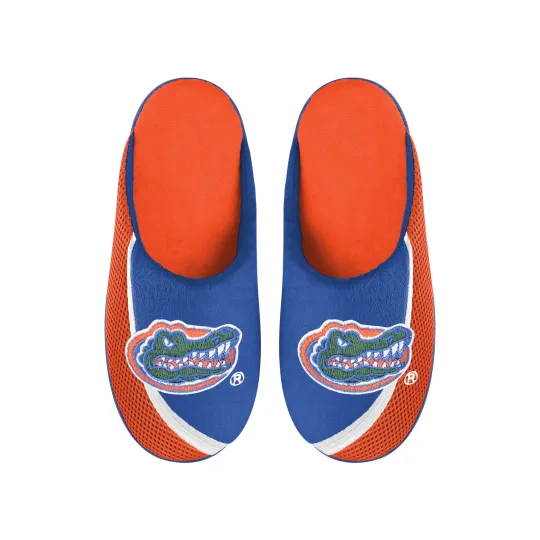Discover Florida Gators 2022 Big Logo Color Edge Slippers, Gift for Fan