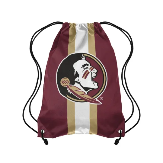 Florida State Seminoles Team Drawstring Bags