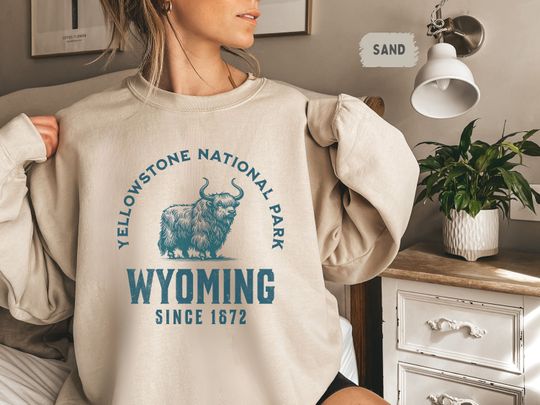 Discover Vintage YStone SweatShirt, Retro YStone National Park Sweater, Wyoming Vintage gift, YStone National Park Souvenir