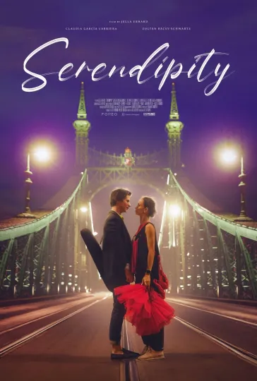Discover Serendipity Movie Poster, Premium Matte Vertical Poster