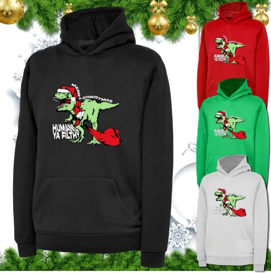 Merry Christmas Xmas T-Rex Dinosaur Santa Hoodie