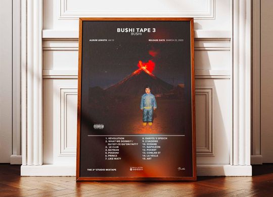 Discover Bushi Tape 3 Bushi Album Poster | Bushi Album Poster | Rapper Poster | Album Wall Art Poster | Music Album Poster | French Rap Poster