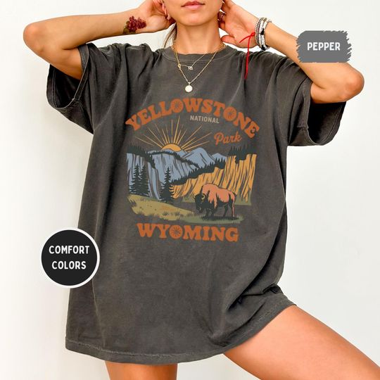 Discover Vintage YStone National Park T-shirt, Comfort Colors Unisex Tee, Retro Graphic Tee, Unisex Garment-Dyed Shirt, Nature Lover Wyoming tee