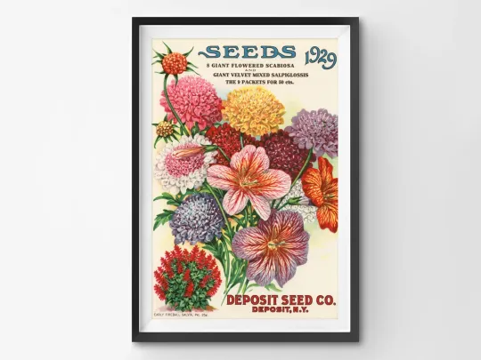 Discover 1929 Seed Catalogue Back Cover Poster - Flower Artwork, Vertical Poster, for Home & Living Decor