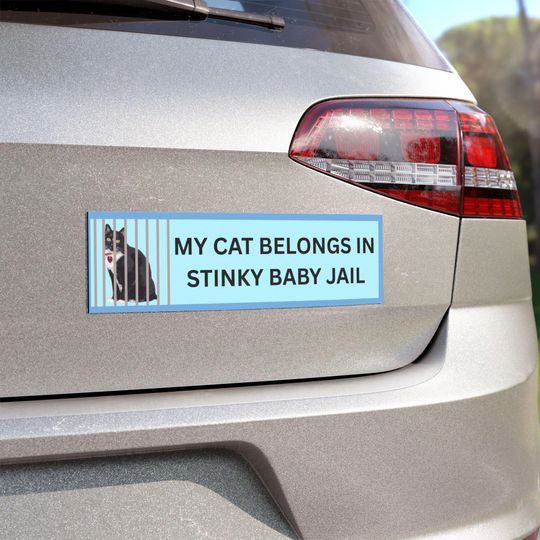 Discover Stinky Baby Jail Evey Car Magnets