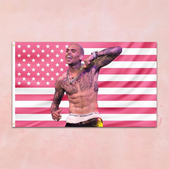 Discover Breezy Chris Pink USA Flag Tapestry Aesthetic Room Decor  Aesthetic American Flag  Fan Wall Decor