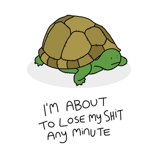 Grumpy Turtle - Turtle - T-Shirt