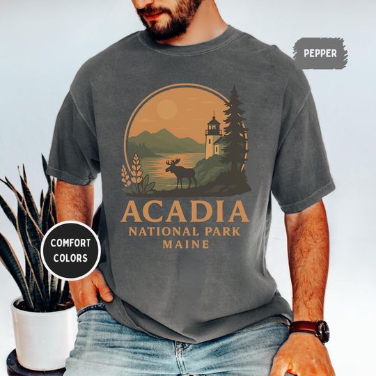 Discover Retro Acadia National Park T-shirt, Comfort Colors Tee, Maine Vintage Style Shirt, Bass Harbor Unisex Garment-Dyed Top, Nature Lovers gift