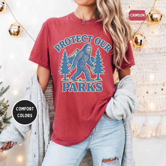 Discover Vintage Protect our Parks T-shirt, Outdoor Nature Lover Tee, Earth Day Gift