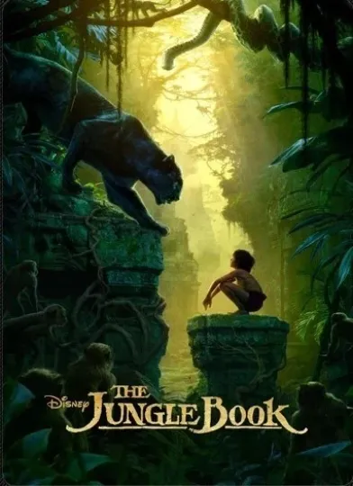 Discover The Jungle Book Disney Fleece Blanket, Disney Cartoon Blanket, Fleece Blanket