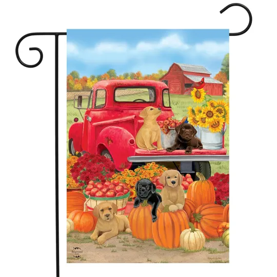 Discover Briarwood Lane Fall Puppies Garden Flag