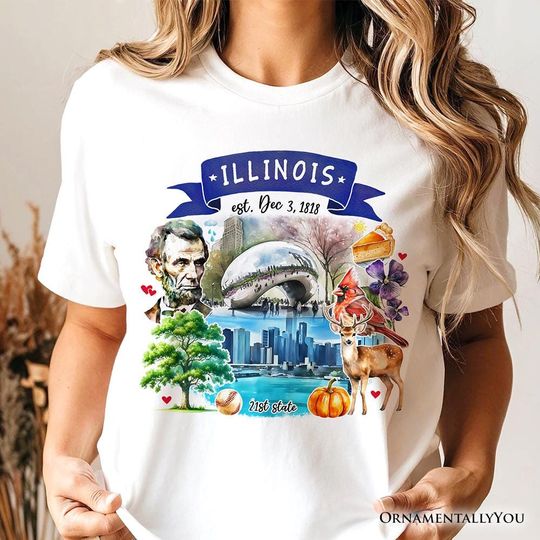 Discover Artistic Illinois State Themes and Landmarks T-Shirt, Tee for History and Travel Lovers