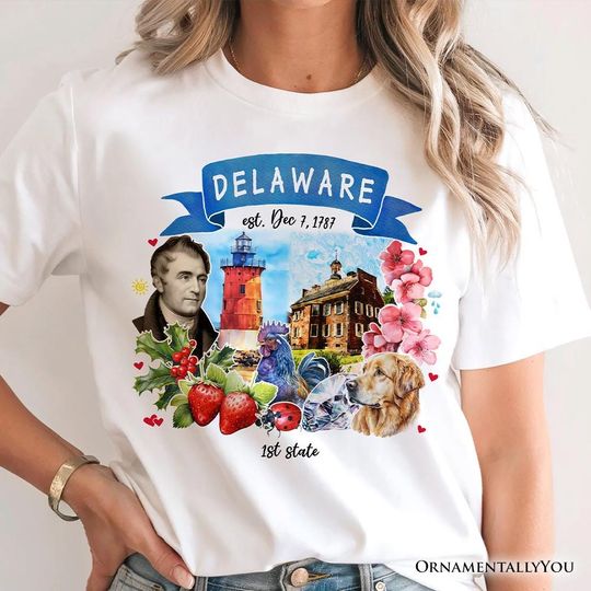 Discover Artistic Delaware State Themes and Landmarks T-Shirt, Tee for History and Travel Lovers